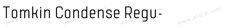 Tomkin Condense Regu字体转换